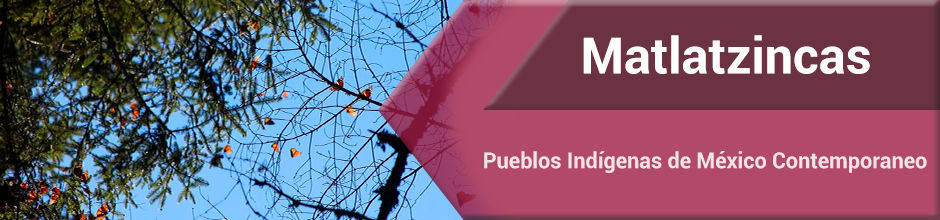 Matlatzincas