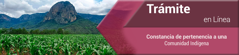 Trámite en Línea